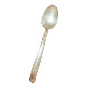 PRESTIGE Serving Spoon Silver-Plated Gay Adventure Polished Vintage Ornate